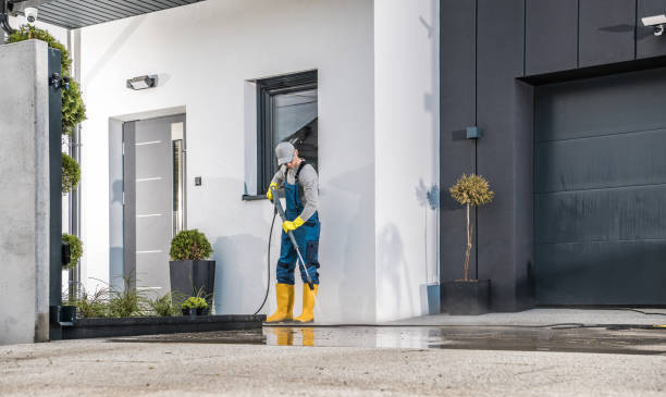 Best Graffiti Removal  in La Presa, CA